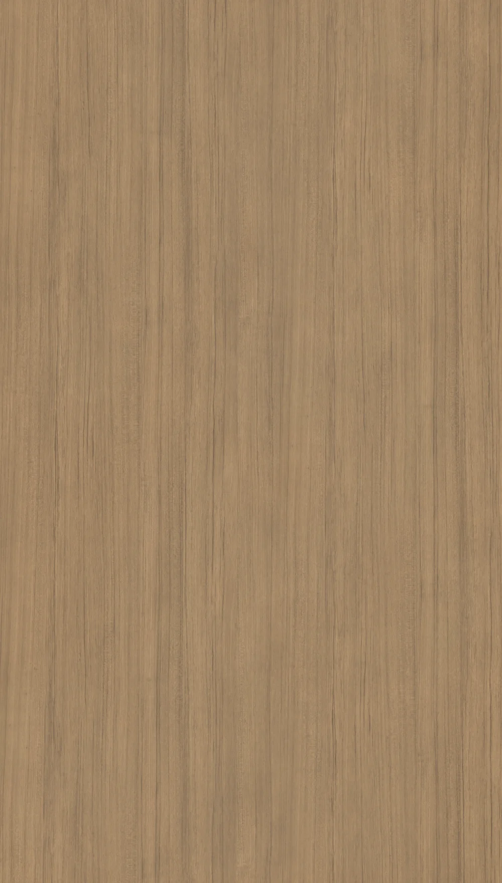 HPL Platte Teak Vertikal Classic - 4050 – Bild 3